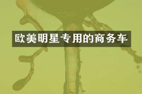 欧美明星专用的商务车