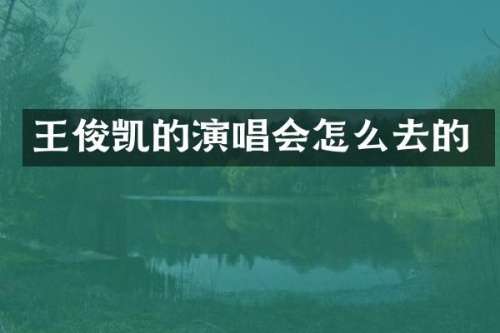 王俊凯的演唱会怎么去的