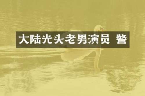 大陆光头老男演员 警