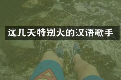 这几天特别火的汉语歌手