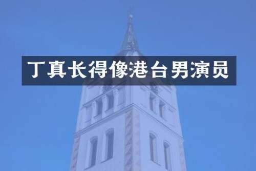 丁真长得像港台男演员