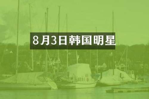 8月3日韩国明星