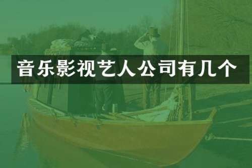音乐影视艺人公司有几个