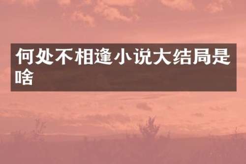何处不相逢小说大结局是啥