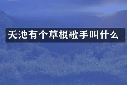 天池有个草根歌手叫什么