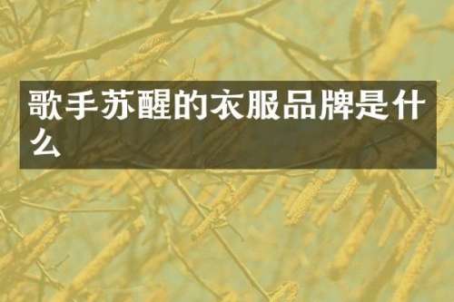 歌手苏醒的衣服品牌是什么