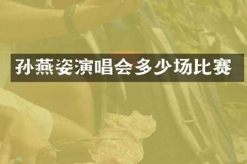 孙燕姿演唱会多少场比赛