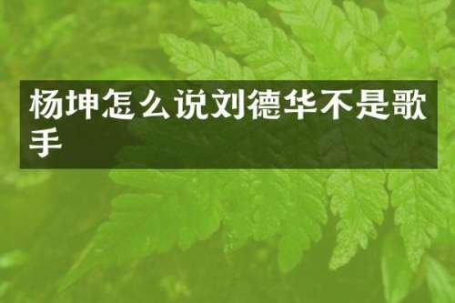 杨坤怎么说刘德华不是歌手