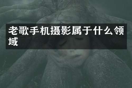 老歌手机摄影属于什么领域