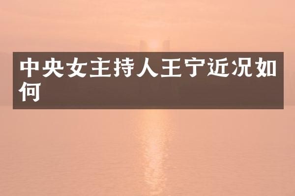 中央女主持人王宁近况如何