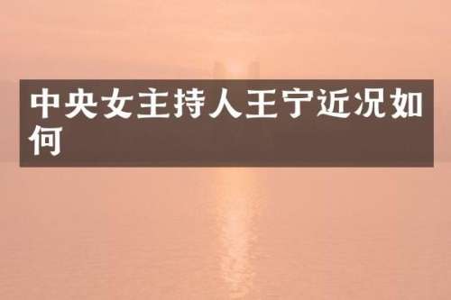 中央女主持人王宁近况如何