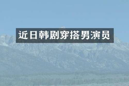 近日韩剧穿搭男演员
