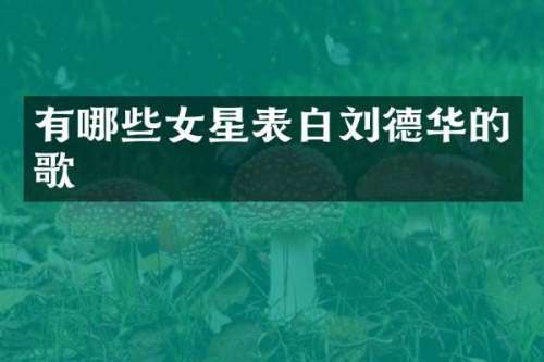 有哪些女星表白刘德华的歌