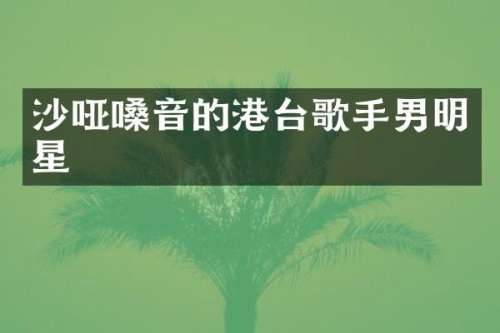 沙哑嗓音的港台歌手男明星