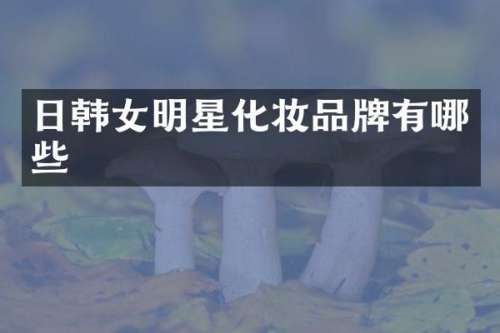 日韩女明星化妆品牌有哪些