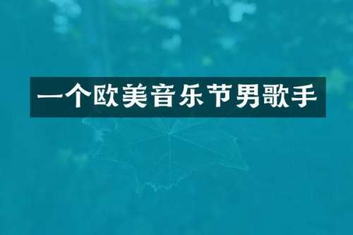 一个欧美音乐节男歌手