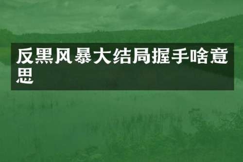 反黑风暴大结局握手啥意思