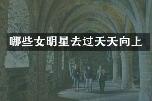 哪些女明星去过天天向上
