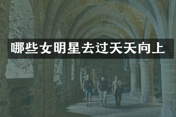 哪些女明星去过天天向上