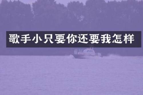 歌手小只要你还要我怎样
