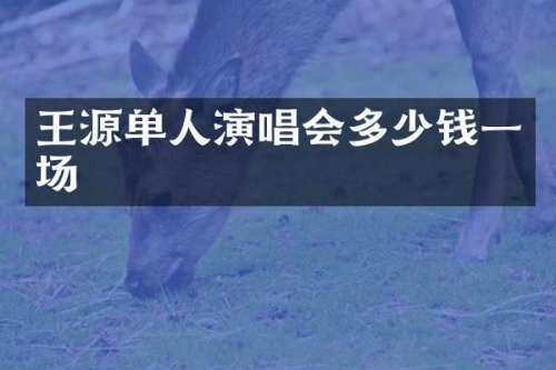 王源单人演唱会多少钱一场