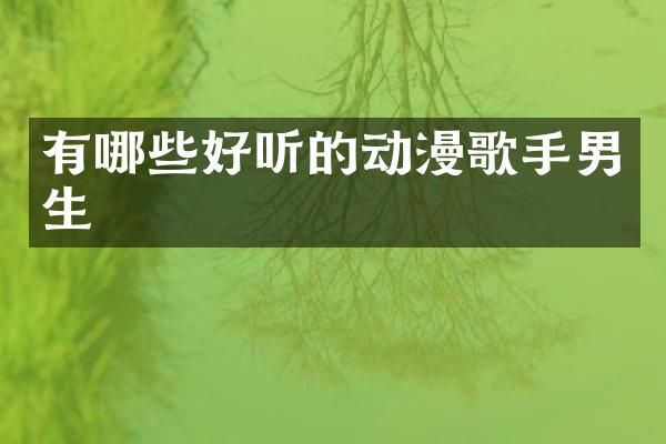 有哪些好听的动漫歌手男生