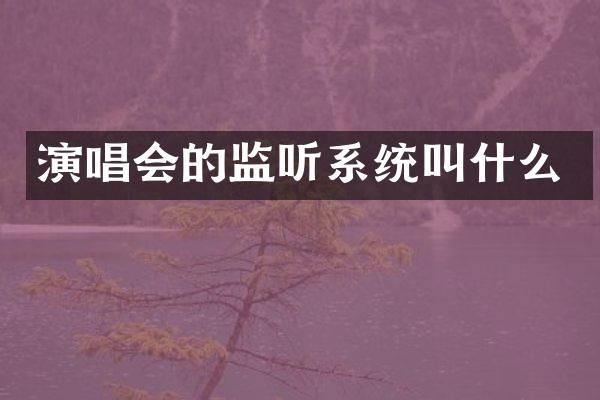 演唱会的系统叫什么