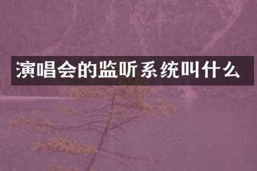 演唱会的系统叫什么