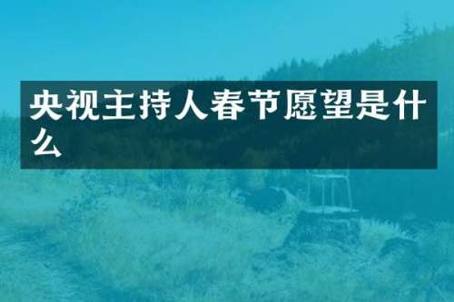 央视主持人春节愿望是什么
