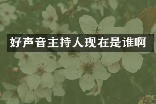 好声音主持人现在是谁啊