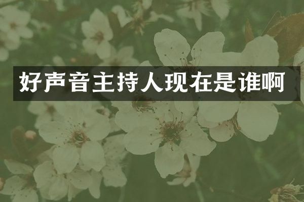 好声音主持人现在是谁啊