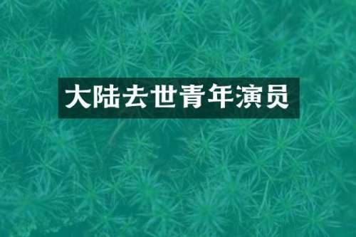 大陆去世青年演员