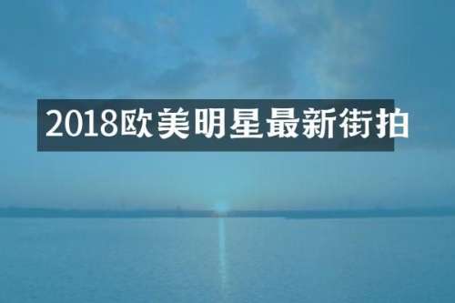 2018欧美明星最新街拍