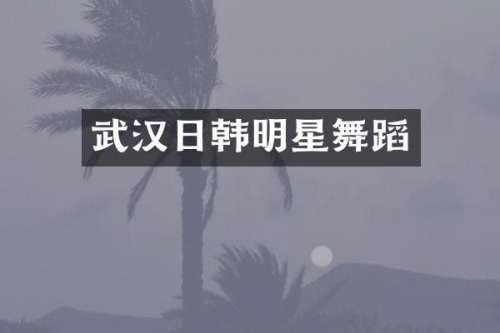 武汉日韩明星舞蹈