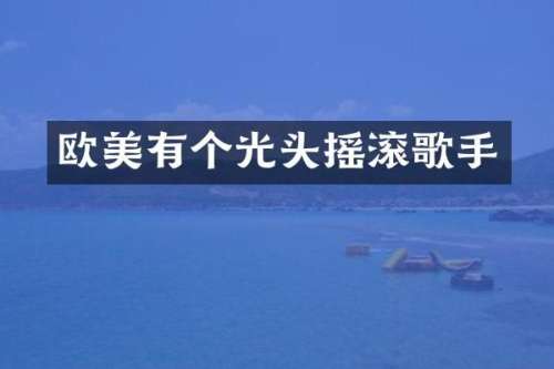 欧美有个光头摇滚歌手