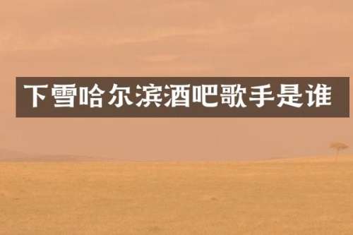 下雪哈尔滨酒吧歌手是谁