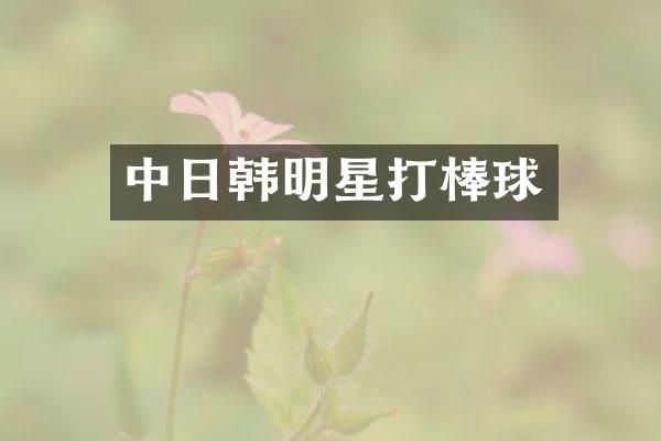 中日韩明星打棒球