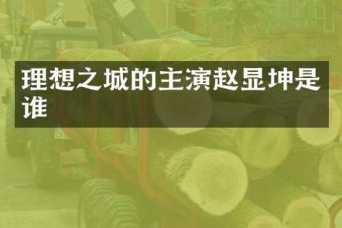 理想之城的主演赵显坤是谁