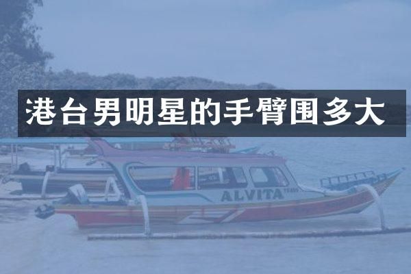 港台男明星的手臂围多大