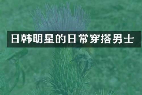 日韩明星的日常穿搭男士