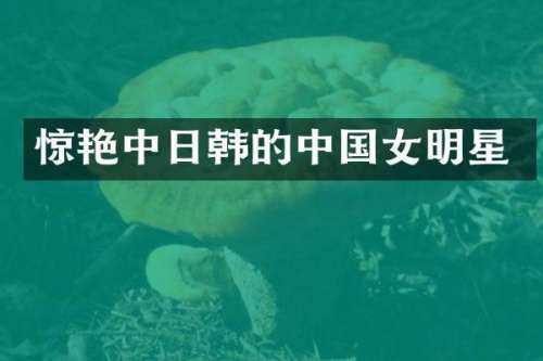 惊艳中日韩的中国女明星