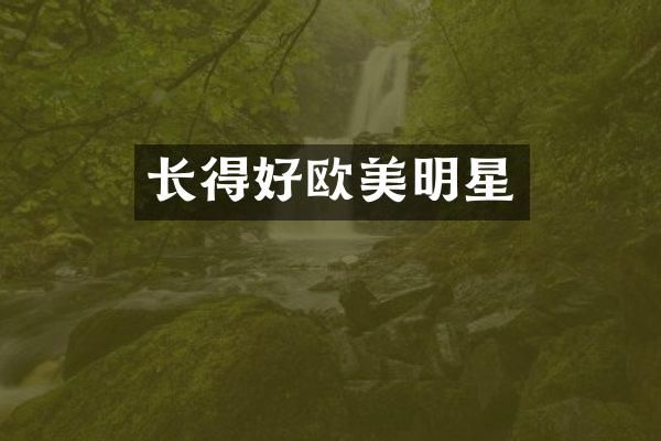 长得好欧美明星