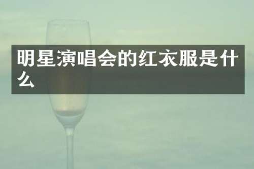 明星演唱会的红衣服是什么