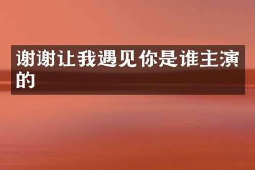 谢谢让我遇见你是谁主演的