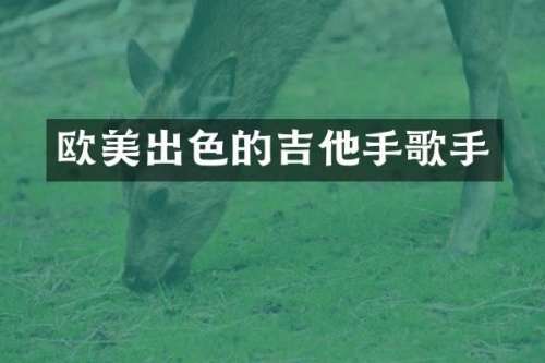 欧美出色的吉他手歌手