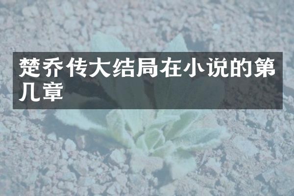 楚乔传大结局在小说的第几章