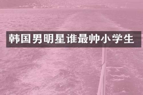 韩国男明星谁最帅小学生