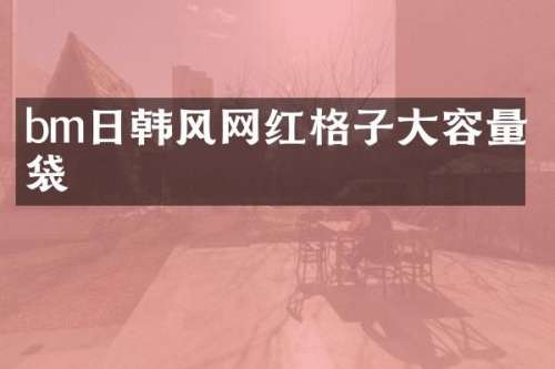 bm日韩风网红格子大容量笔袋