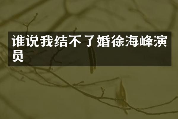 谁说我结不了婚徐海峰演员