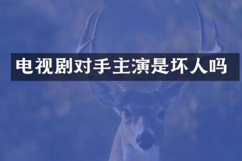 电视剧对手主演是坏人吗